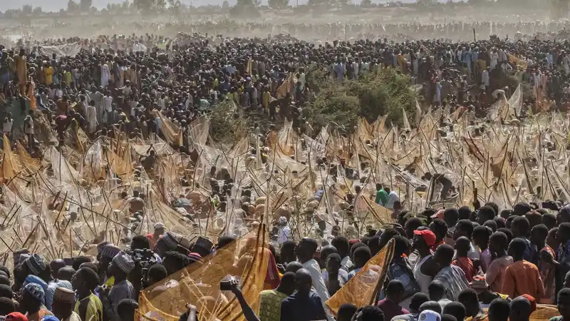 A dense crowd on a riverbank at the Argungu Fishing Festival, with hundreds of raised fishing nets in the water below