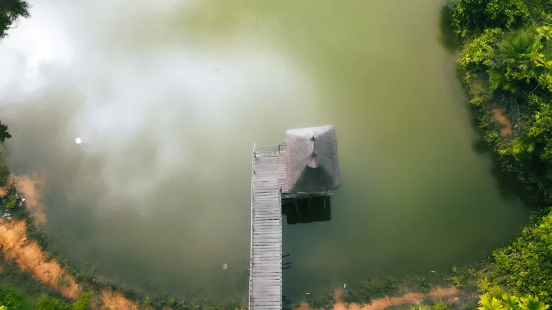 Aerial view of a green lake at Lufasi Nature Park, Lagos, with a wooden boardwalk leading to a thatched shelter over the water and dense vegetation along the bank