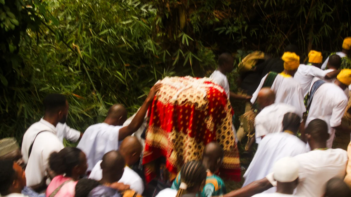 The Arugba, covered in a red and gold patterned cloth, carried in a crowded procession of people in white and yellow through green woodland